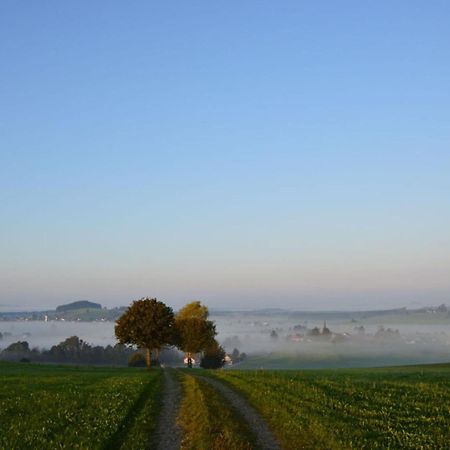 Апартаменты Ferienhof Schoenmetzler Altusried Экстерьер фото