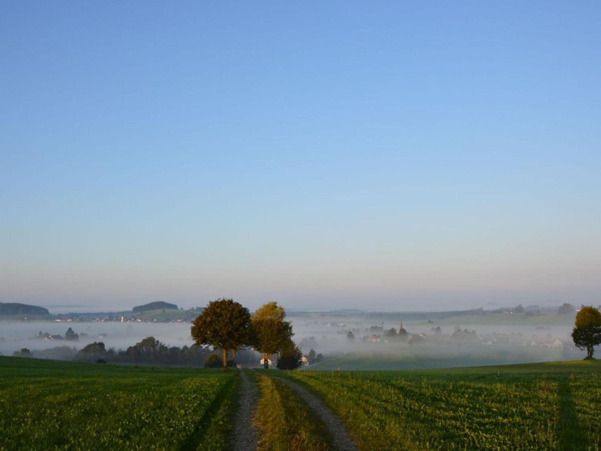 Апартаменты Ferienhof Schoenmetzler Altusried Экстерьер фото